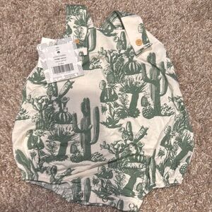 Kate Quinn - country bubble - hedge cactus - 3-6mo